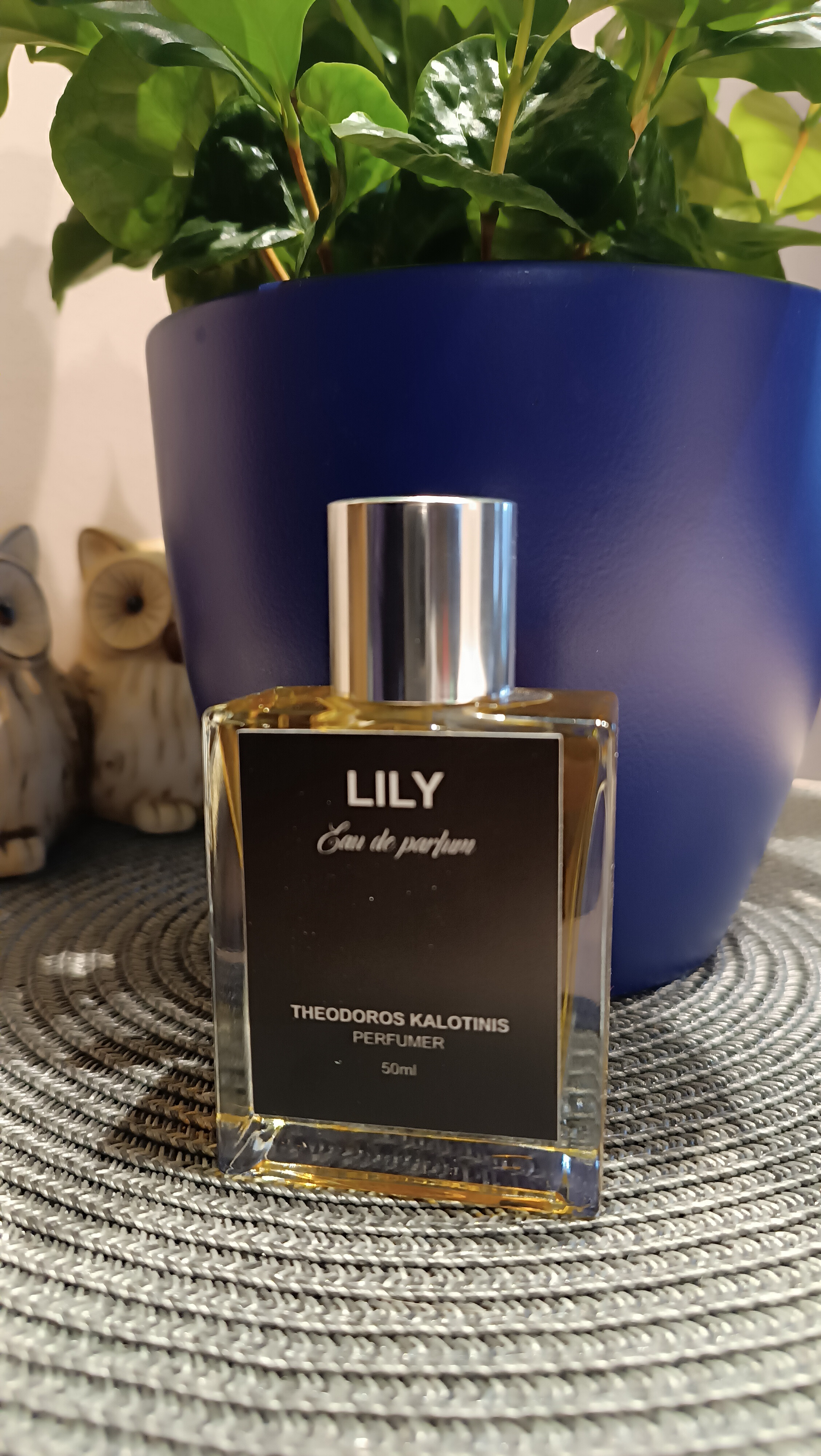 Theodoros Kalotinis Lily EDP